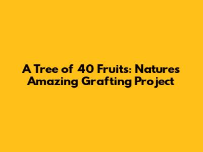 A Tree of 40 Fruits: Nature's Amazing Grafting Project