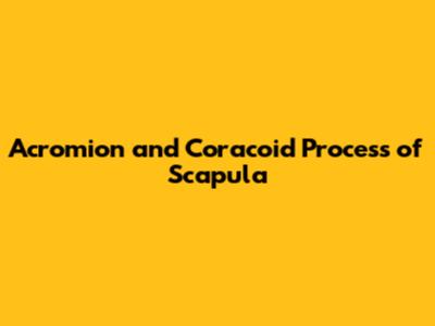 Acromion and Coracoid Process of Scapula