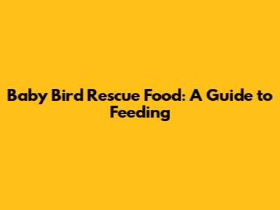 Baby Bird Rescue Food: A Guide to Feeding