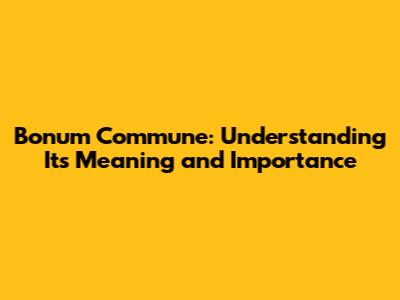Bonum Commune: Understanding Its Meaning and Importance