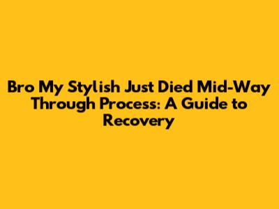 Bro My Stylish Just Died Mid-Way Through Process: A Guide to Recovery