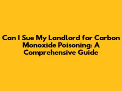 Can I Sue My Landlord for Carbon Monoxide Poisoning: A Comprehensive Guide