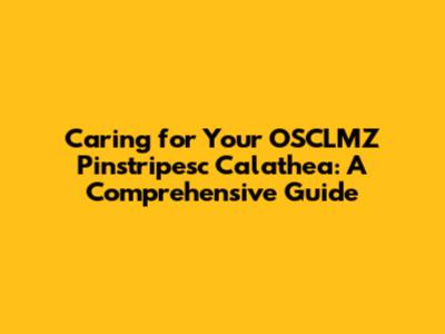 Caring for Your OSCLMZ Pinstripesc Calathea: A Comprehensive Guide