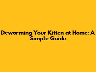 Deworming Your Kitten at Home: A Simple Guide