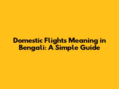 Domestic Flights Meaning in Bengali: A Simple Guide