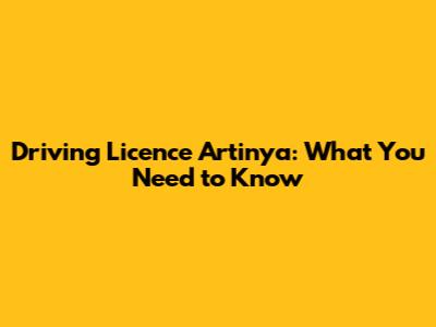 Driving Licence Artinya: What You Need to Know