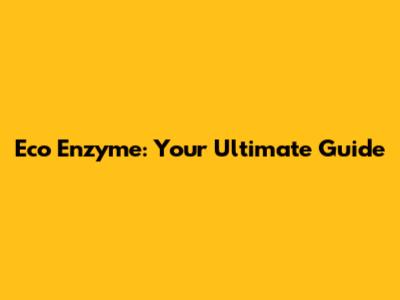 Eco Enzyme: Your Ultimate Guide