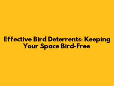 Effective Bird Deterrents: Keeping Your Space Bird-Free