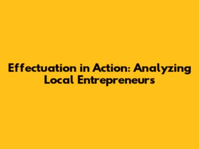 Effectuation in Action: Analyzing Local Entrepreneurs