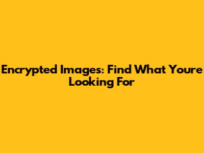 Encrypted Images: Find What You're Looking For
