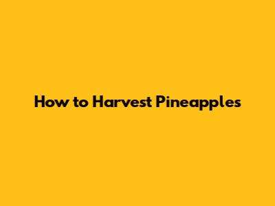 How to Harvest Pineapples