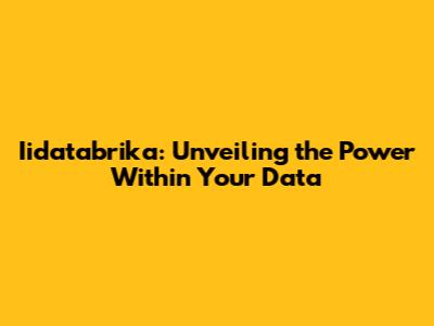 Iidatabrika: Unveiling the Power Within Your Data