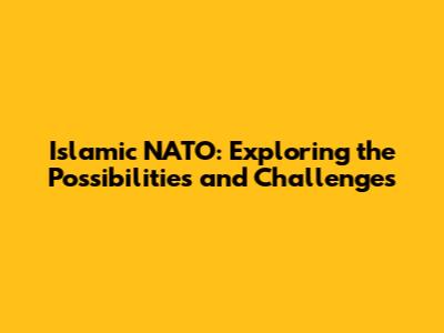 Islamic NATO: Exploring the Possibilities and Challenges