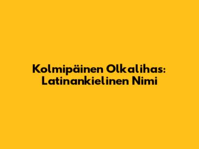 Kolmipäinen Olkalihas: Latinankielinen Nimi