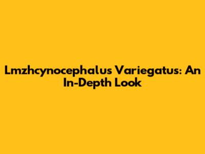 Lmzhcynocephalus Variegatus: An In-Depth Look