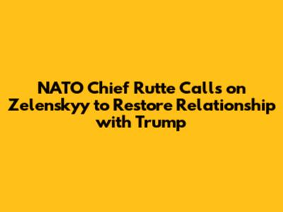 NATO Chief Rutte Calls on Zelenskyy to Restore Relationship with Trump
