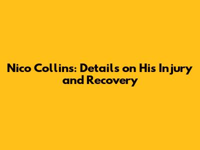 Nico Collins: Details on His Injury and Recovery