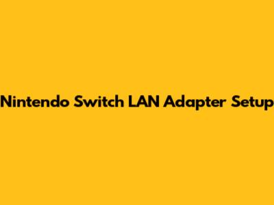 Nintendo Switch LAN Adapter Setup