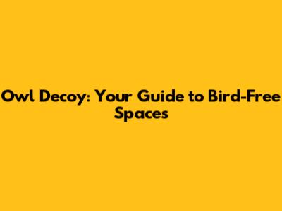 Owl Decoy: Your Guide to Bird-Free Spaces