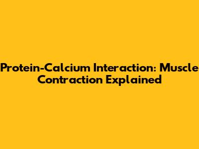 Protein-Calcium Interaction: Muscle Contraction Explained