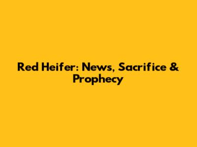 Red Heifer: News, Sacrifice & Prophecy