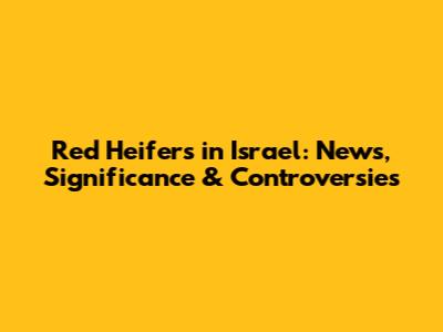 Red Heifers in Israel: News, Significance & Controversies