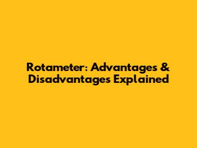 Rotameter: Advantages & Disadvantages Explained