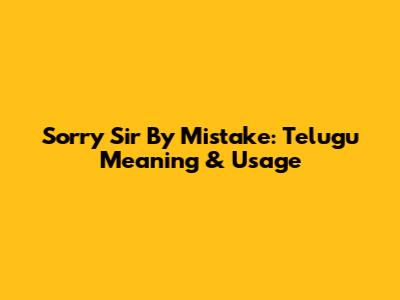 Sorry Sir By Mistake: Telugu Meaning & Usage