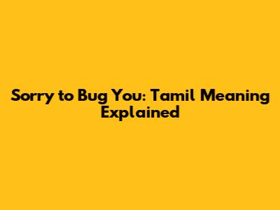 Sorry to Bug You: Tamil Meaning Explained