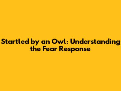 Startled by an Owl: Understanding the Fear Response