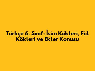 Türkçe 6. Sınıf: İsim Kökleri, Fiil Kökleri ve Ekler Konusu