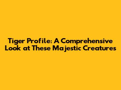 Tiger Profile: A Comprehensive Look at These Majestic Creatures
